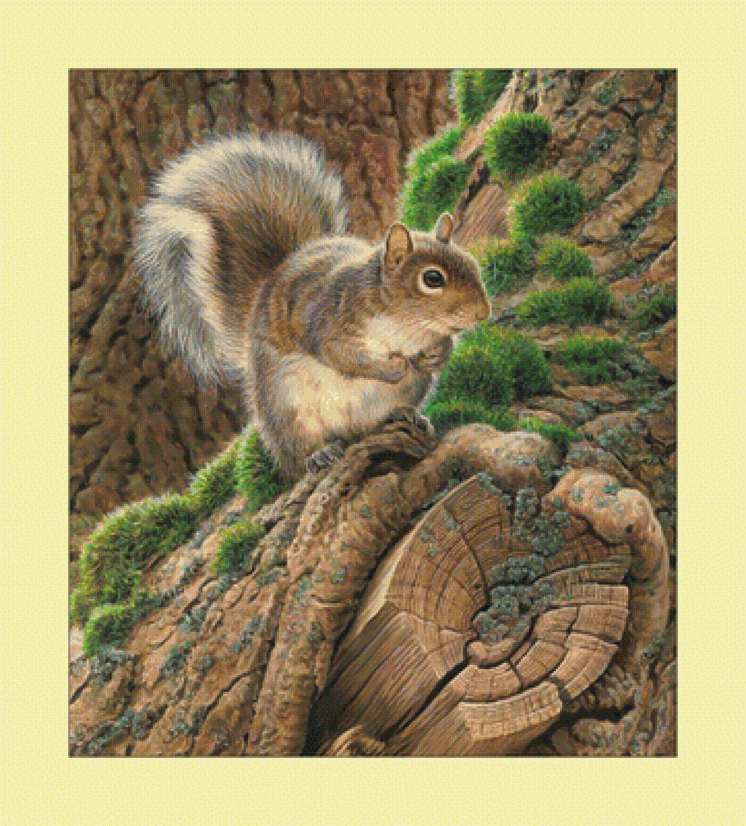 Белка. - белка, грызуны, живопись, животные - предпросмотр
