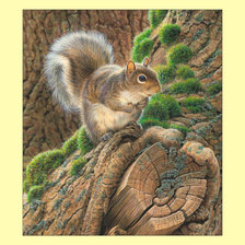 Схема вышивки «Белка.»