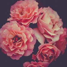 Схема вышивки «Цветы»