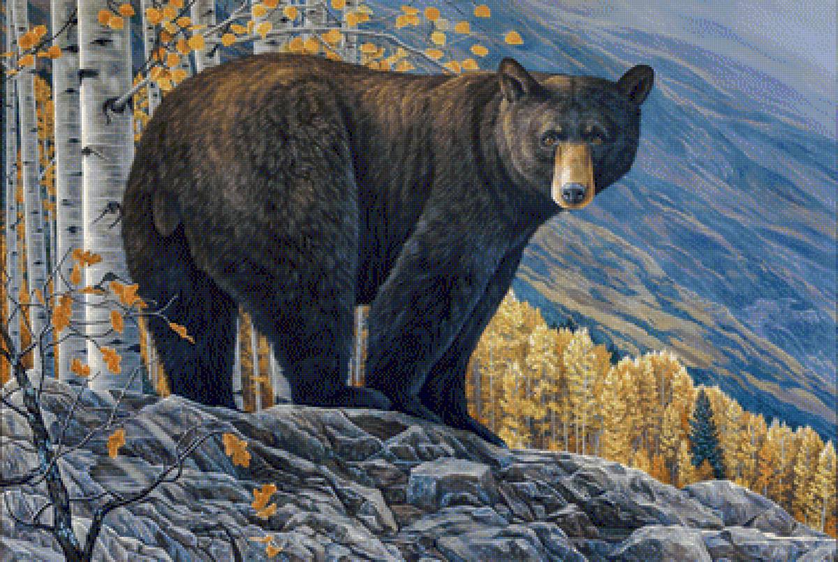 Aspen Grove, Black Bear. - anna widmer paintings.scenarys.animals. - предпросмотр