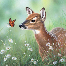 Схема вышивки «№2026498»