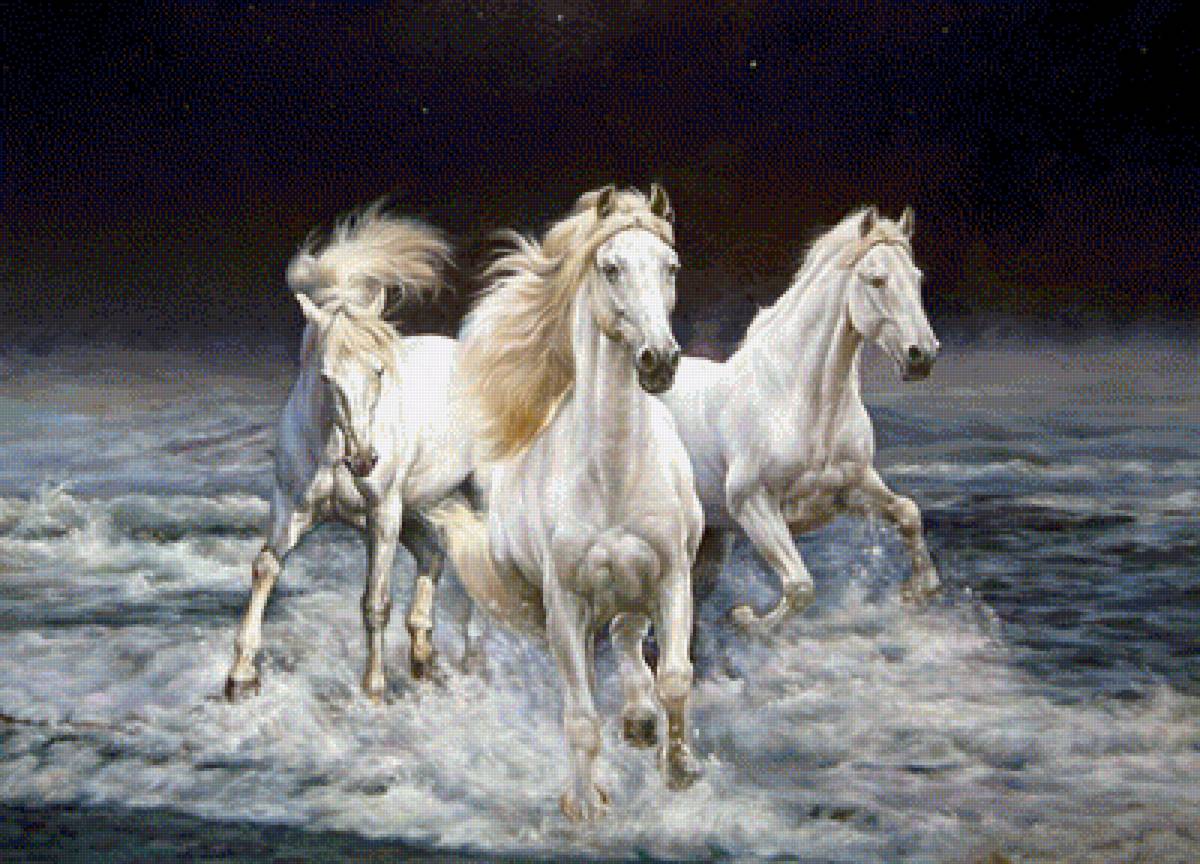 863456 - предпросмотр