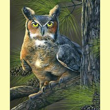 Схема вышивки «Филин.»