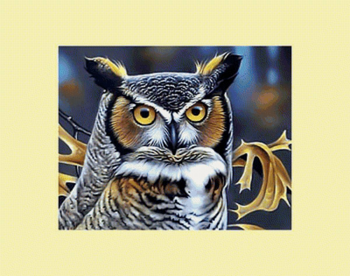 Филин. - птица, сова, хищник, живопись, филин - предпросмотр