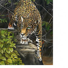 Схема вышивки «Леопард»