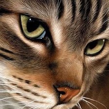 Схема вышивки «bruine poes»