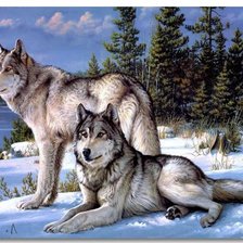 Схема вышивки «Волки»