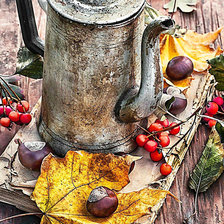 Схема вышивки «осенний чай»
