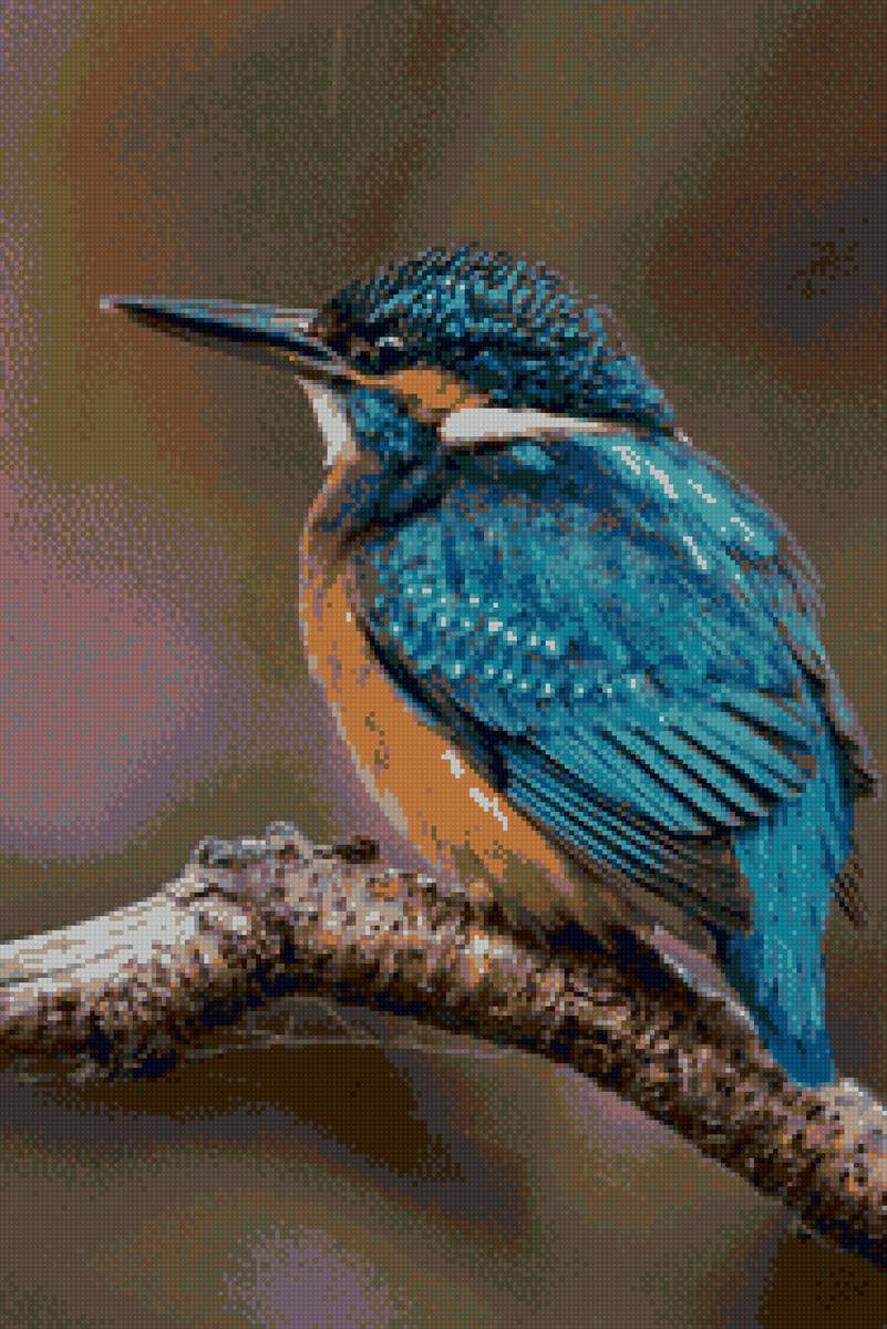 Зимородок - предпросмотр