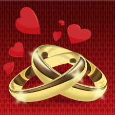 Схема вышивки «Два кольца»