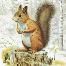 Схема вышивки «Mokus»