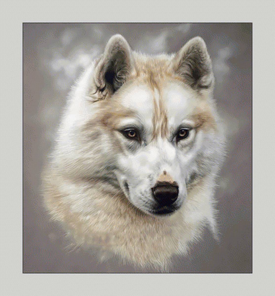 Собака. - живопись, животные, собака - предпросмотр