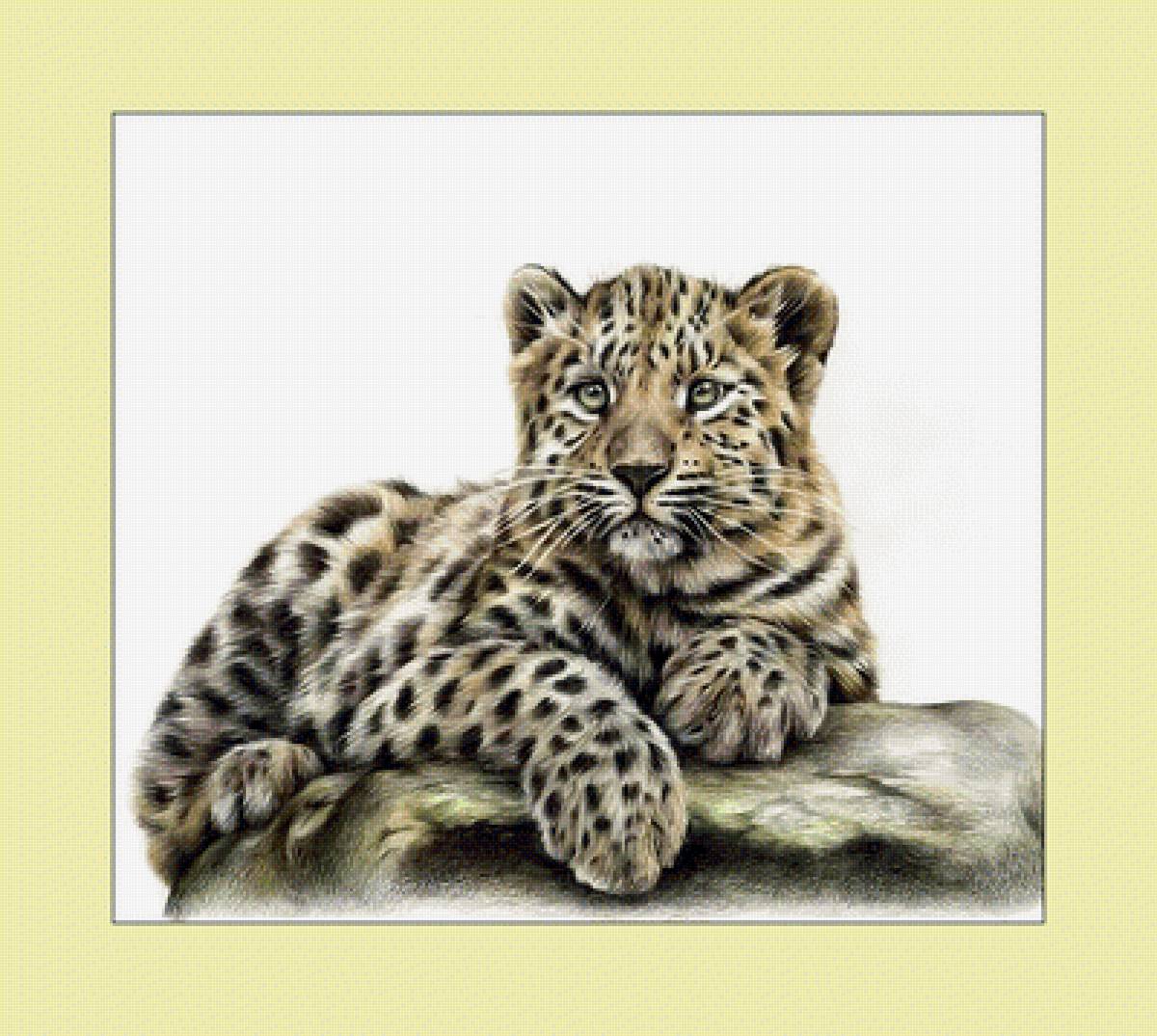 Маленький леопард. - котенок, леопард, животные., дикие - предпросмотр