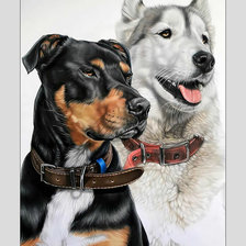 Схема вышивки «Собаки.»