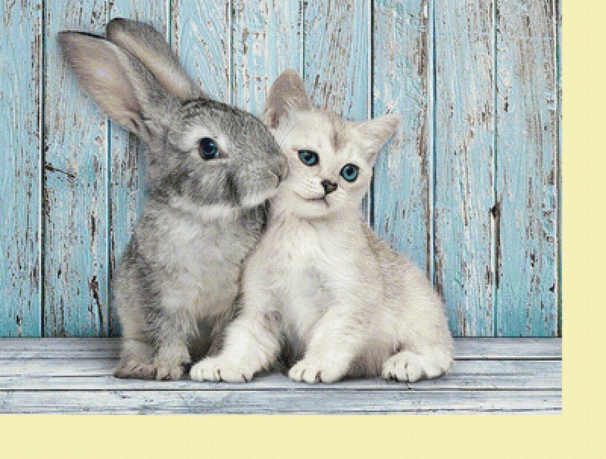 №2027948 - кролики, коты, животные - предпросмотр