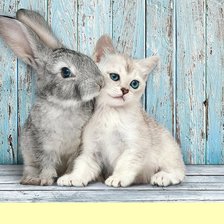 Схема вышивки «№2027948»