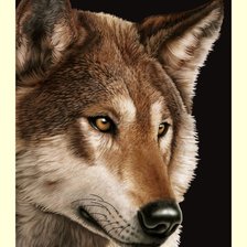 Схема вышивки «№2027955»