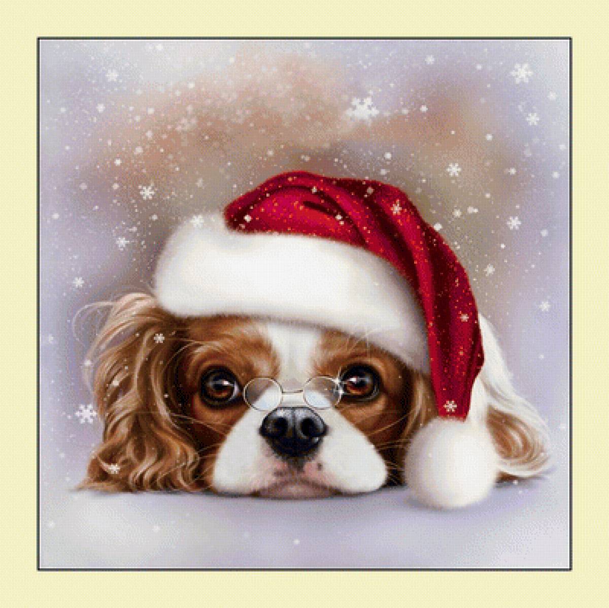 №2027970 - собаки, животные - предпросмотр