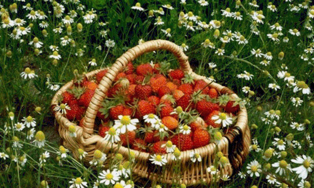 №2028023 - земляника в карзине - предпросмотр