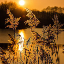 Схема вышивки «№2028026»