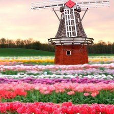 Схема вышивки «№2028074»