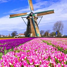 Схема вышивки «Мельница»