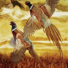 Схема вышивки «№2028113»