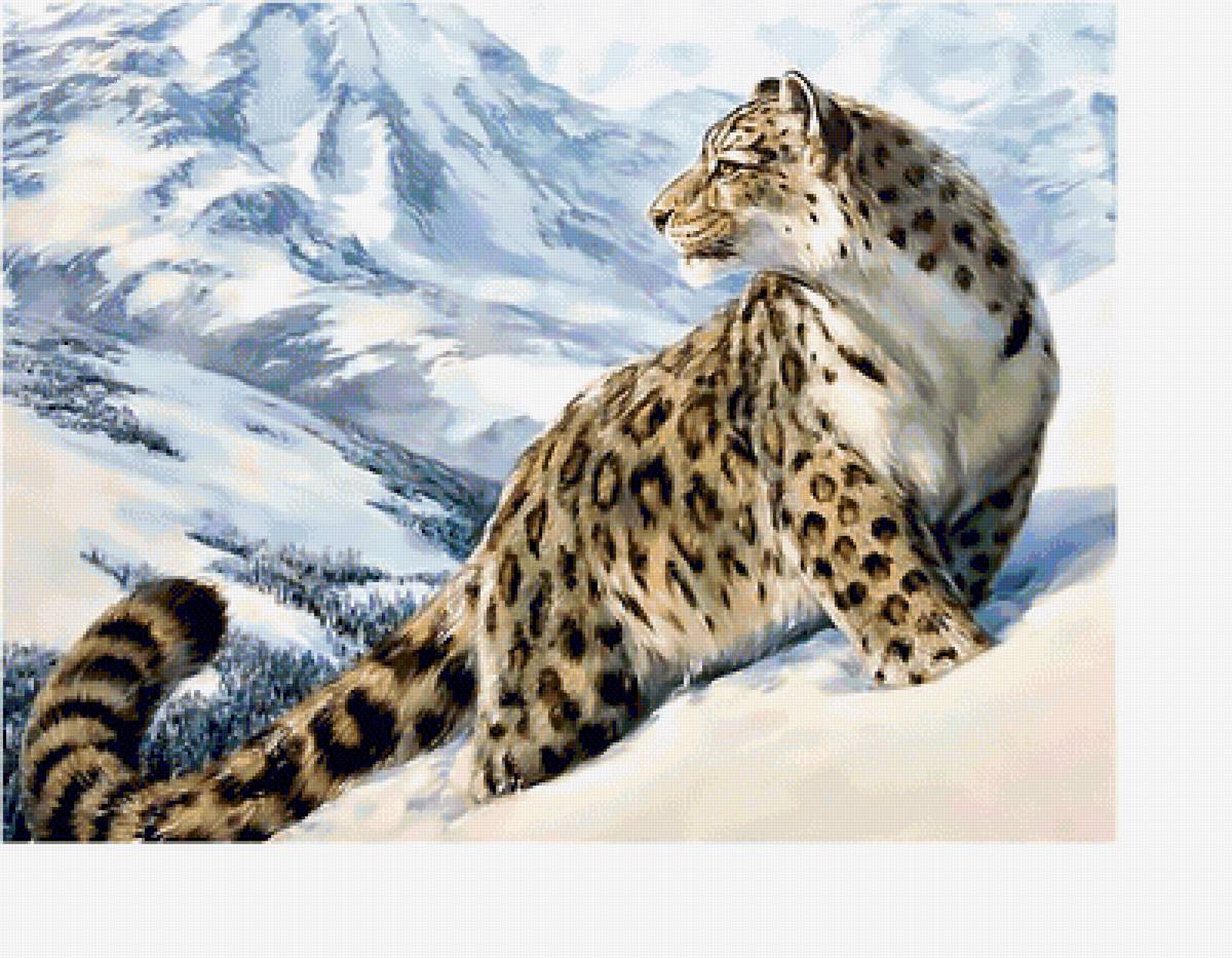 снежный барс - горы, животные, кошки, снег - предпросмотр