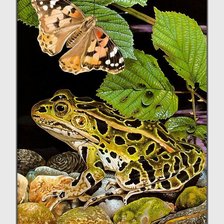 Схема вышивки «№2028422»