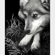 Схема вышивки «№2028430»