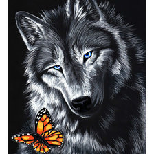 Схема вышивки «Волк и бабочка.»