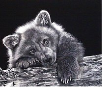 Схема вышивки «332х245»