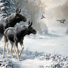 Схема вышивки «Худ. Данчурова Татьяна»