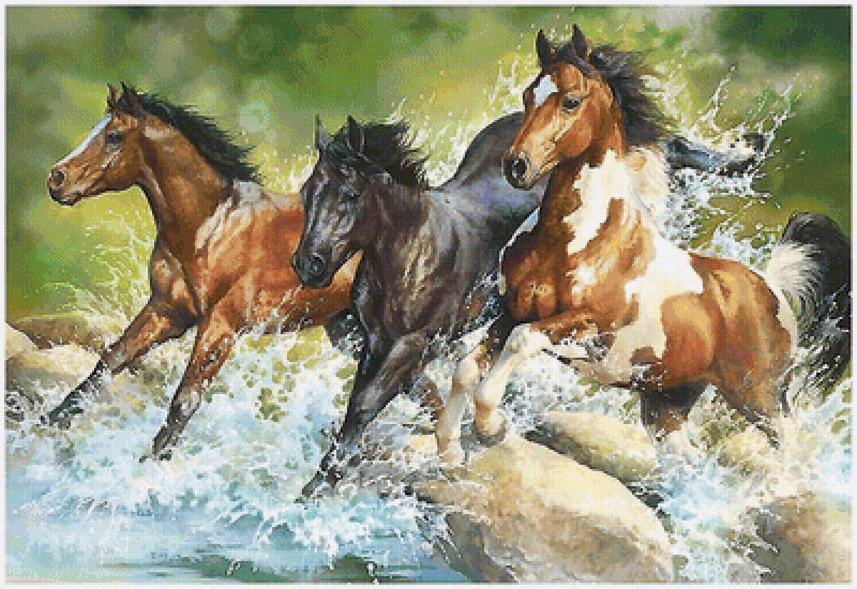 кони - мир животных - предпросмотр