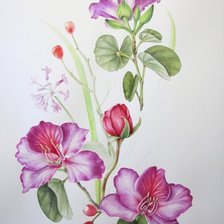 Схема вышивки «цветы»