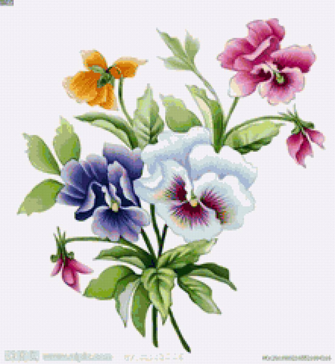 цветы - цветы - предпросмотр