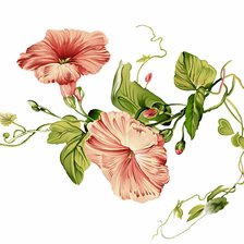 Схема вышивки «цветы»