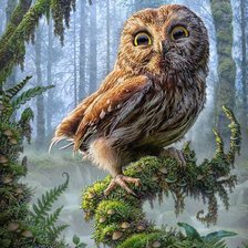 Схема вышивки «Сова»