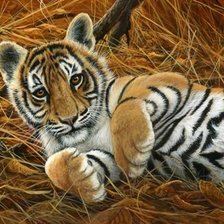 Схема вышивки «дикие»