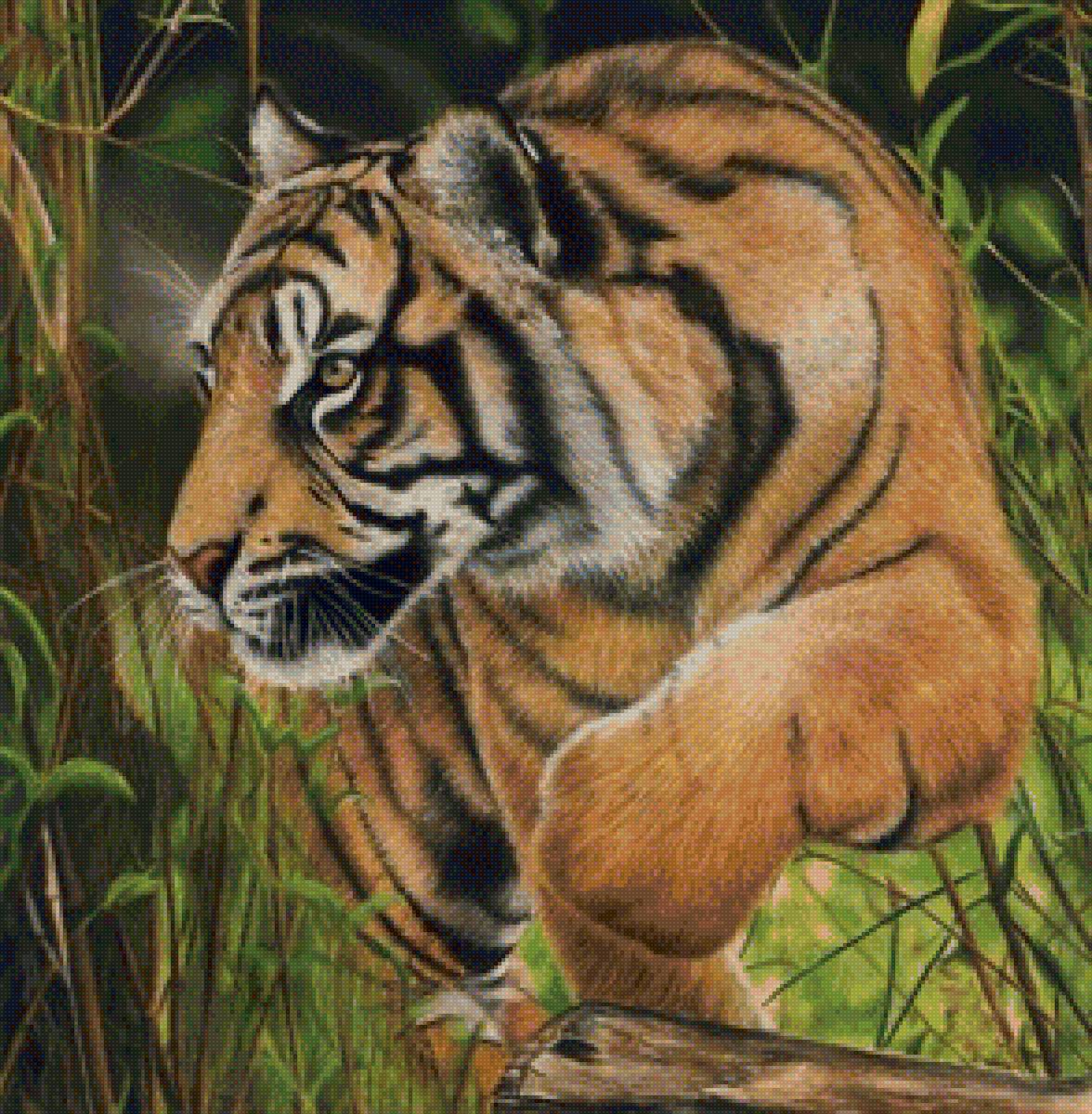 дикие - предпросмотр