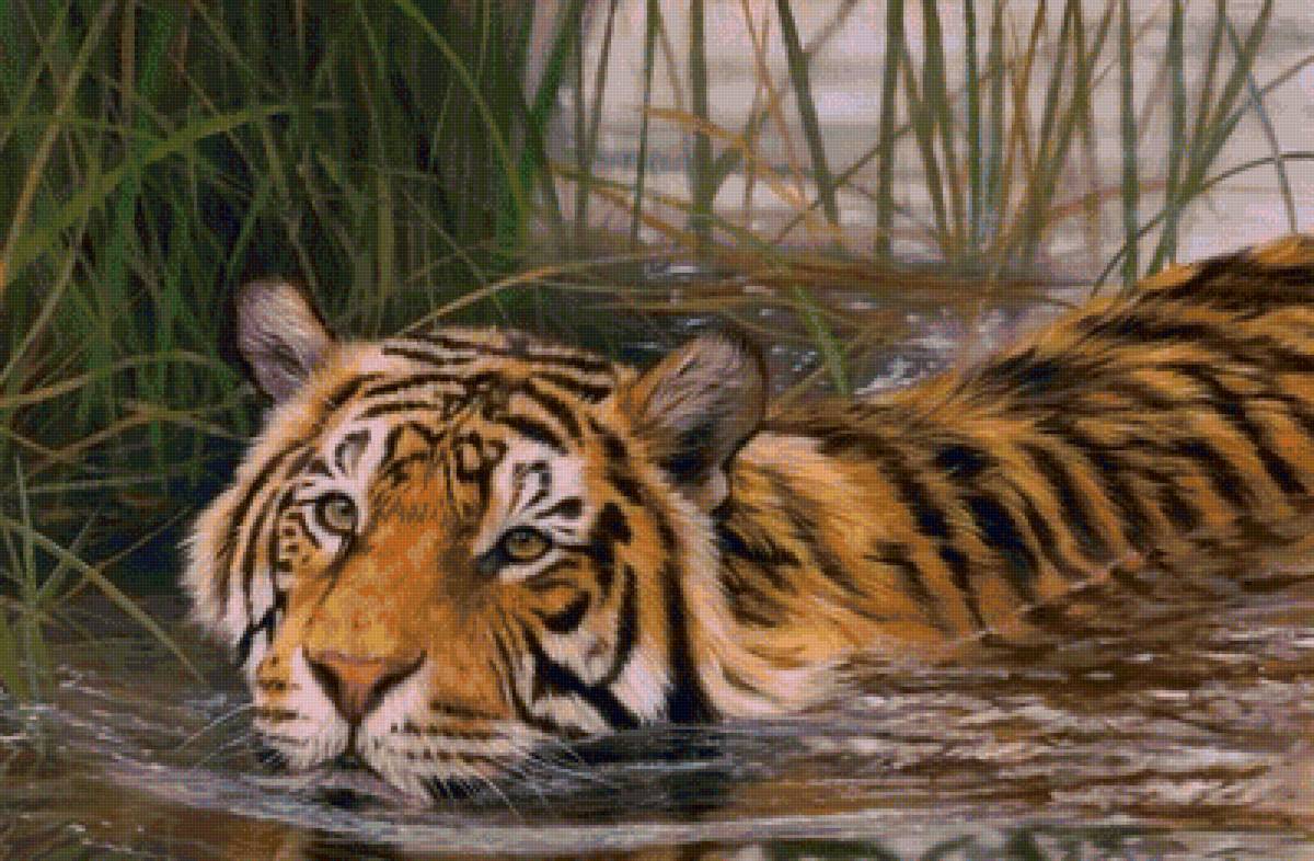 дикие - предпросмотр