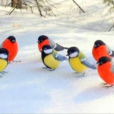 Схема вышивки «Птички»