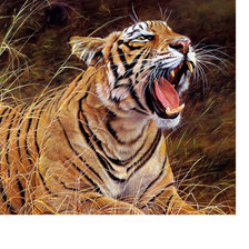 Схема вышивки «Тигр»