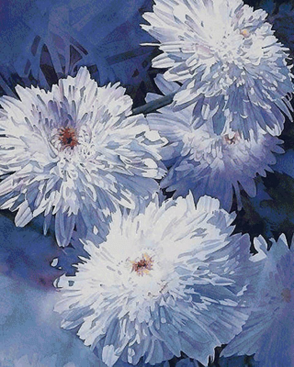 Хризантемы - хризантемы, цветы, акварель - предпросмотр