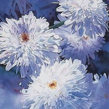 Схема вышивки «Хризантемы»