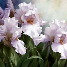 Схема вышивки «Мне нравится»