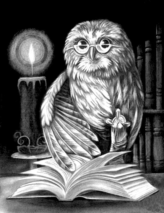 учёная сова - птица, книги, ночь, сова - оригинал