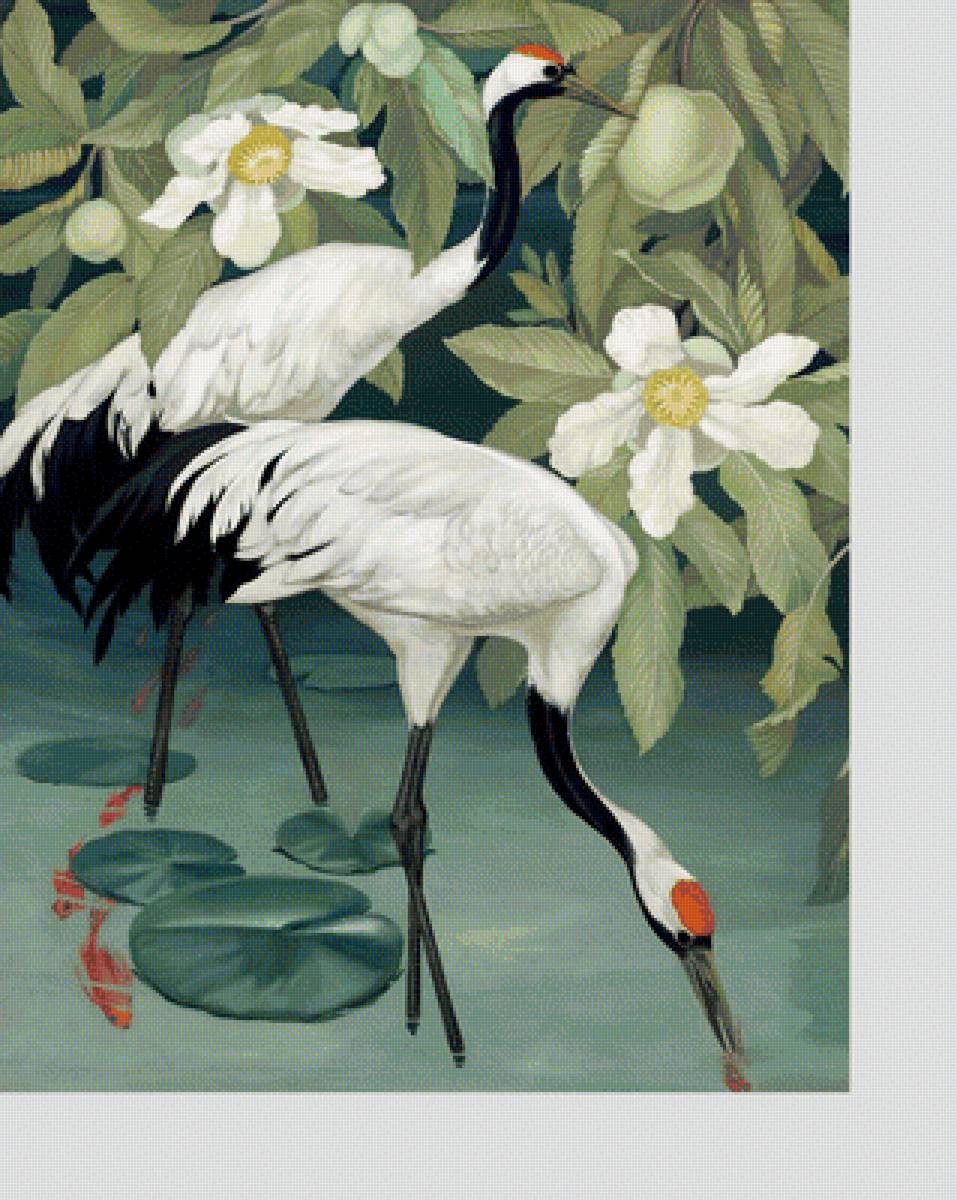 №2030336 - журавли, животные, птицы - предпросмотр