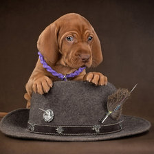 Схема вышивки «№2030340»