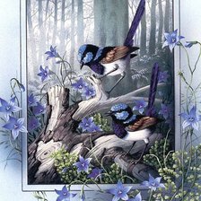 Схема вышивки «птицы»